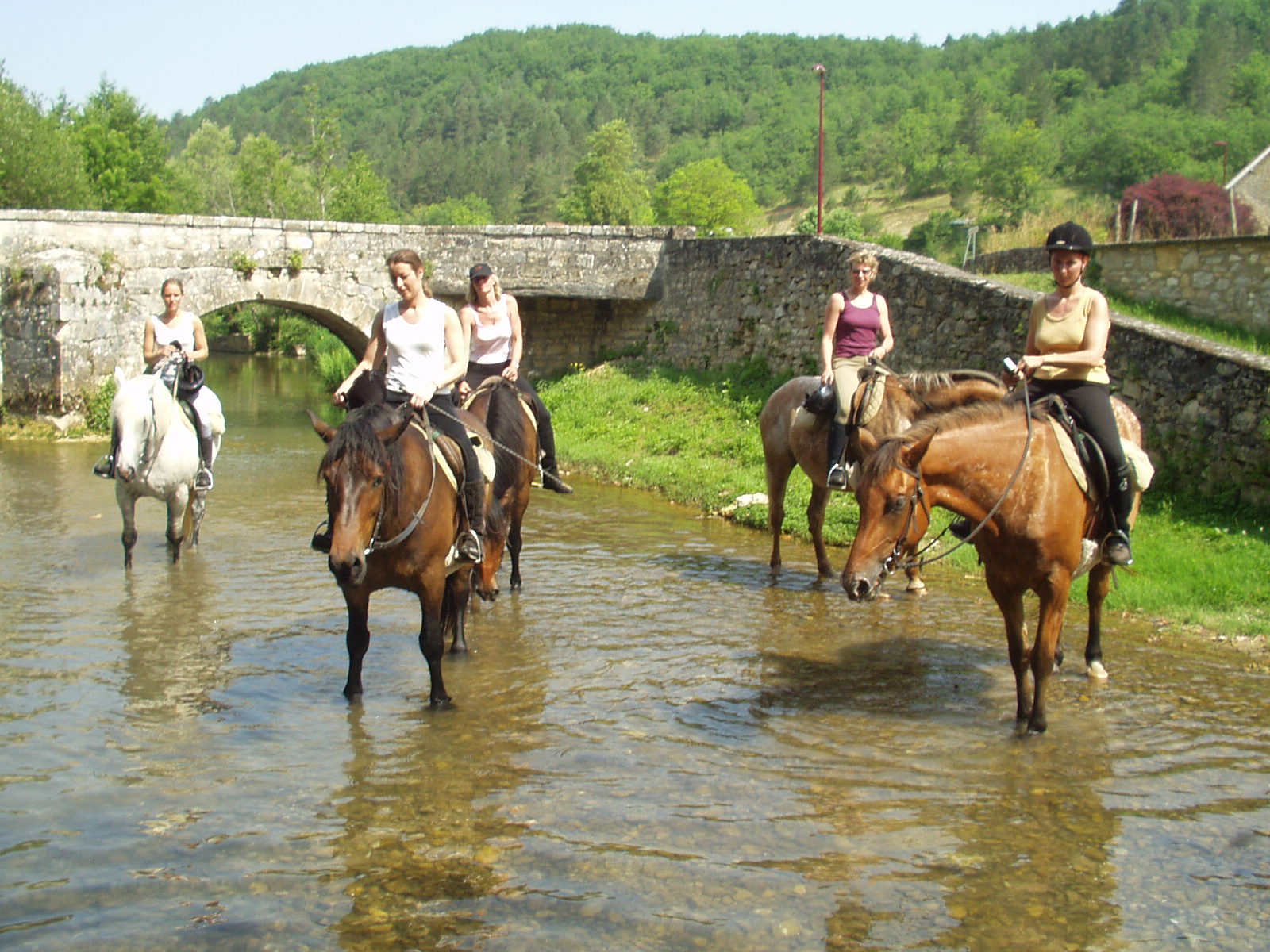 Paardensport